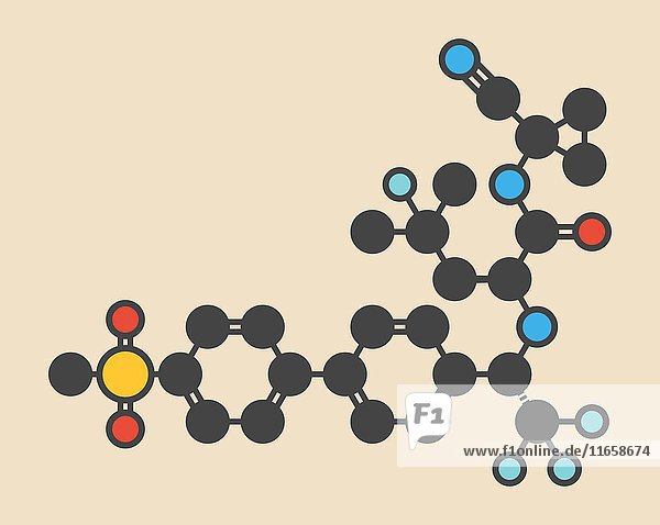 Odanacatib Osteoporose und Knochenmetastasierung Medikamentenmolekül. Inhibitor von Cathepsin K. Stilisierte Skelettformel (chemische Struktur): Die Atome sind als farbcodierte Kreise dargestellt: Wasserstoff (verdeckt)  Kohlenstoff (grau)  Stickstoff (blau)  Sauerstoff (rot)  Schwefel (gelb)  Fluor (türkis).