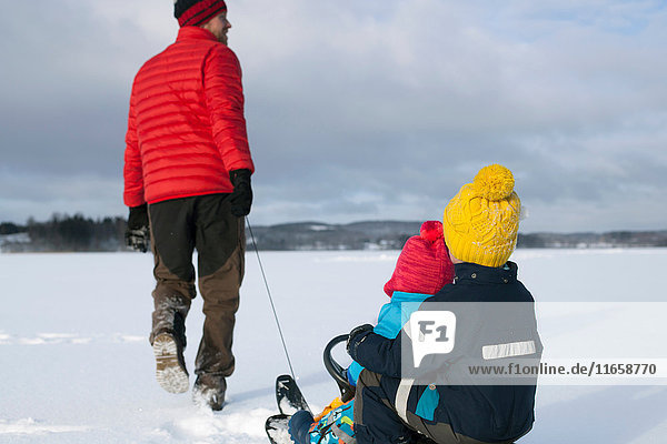 Vater zieht Söhne auf Schlitten in schneebedeckter Landschaft mit  Rückansicht
