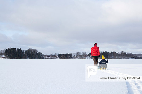 Vater zieht Söhne auf Schlitten in schneebedeckter Landschaft mit  Rückansicht