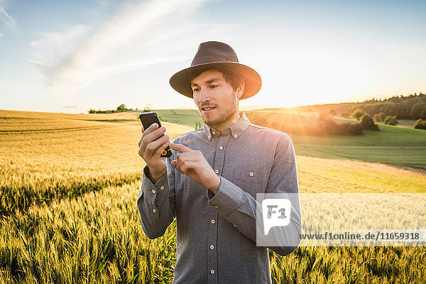 Mid adult man standing in field using smartphone Neulingen Baden-Württemberg Germany