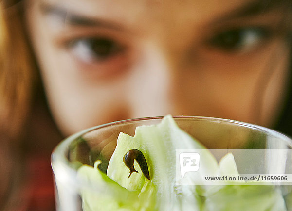 Close up of girl looking at slug on lettuce