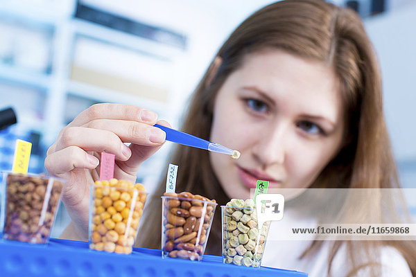 Wissenschaftlerin beim Testen von Lebensmitteln im Labor.