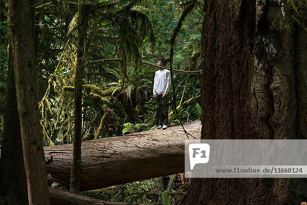 Teenager  der auf einem umgefallenen Baumstamm steht und wegschaut  Pacific Rim National Park  Vancouver Island  Kanada