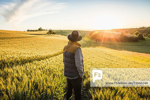 Mid adult man standing in field rear view Neulingen Baden-Württemberg Germany