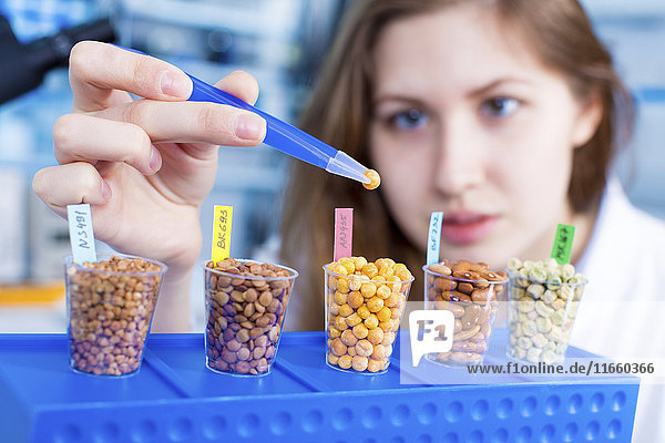 Wissenschaftlerin beim Testen von Lebensmitteln im Labor.