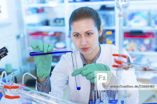 Eine Wissenschaftlerin gießt eine Flüssigkeit in ein Reagenzglas.