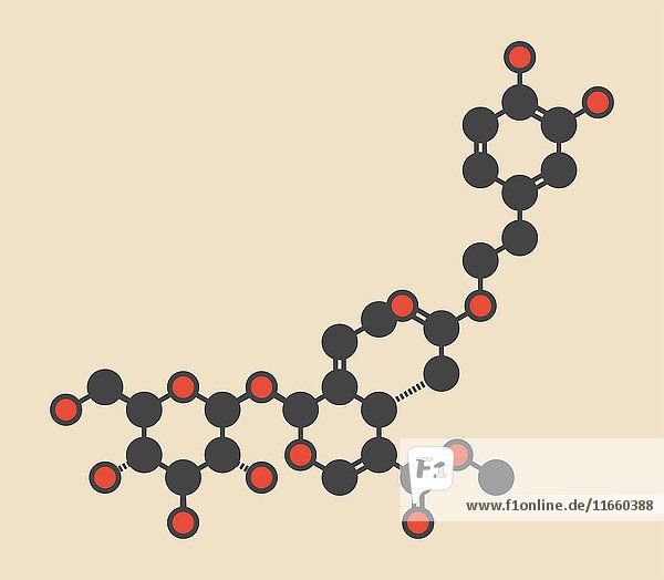 Oleuropein  ein Molekül der Olivenkomponente. Teilweise verantwortlich für die Schärfe von nativem Olivenöl  kann nützliche Eigenschaften haben. Stilisierte Skelettformel (chemische Struktur): Die Atome sind als farbcodierte Kreise dargestellt: Wasserstoff (verdeckt)  Kohlenstoff (grau)  Sauerstoff (rot).