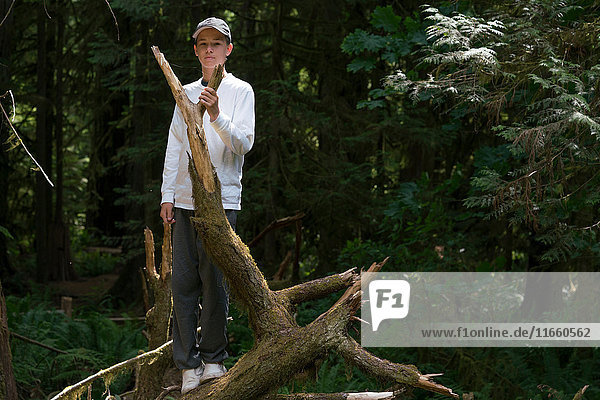 Teenager  der auf einem umgefallenen Baumstamm sitzt und in die Kamera schaut  Pacific Rim National Park  Vancouver Island  Kanada