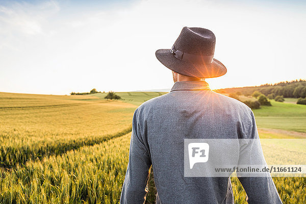 Mid adult man standing in field rear view Neulingen Baden-Württemberg Germany