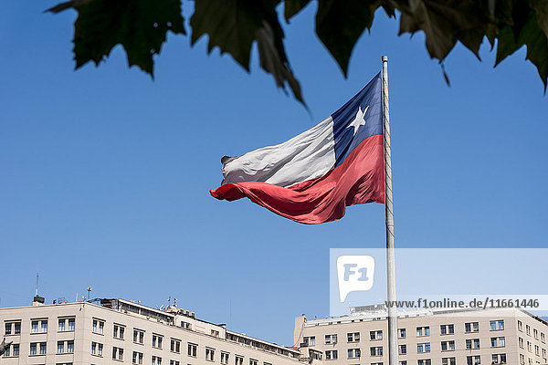 Die chilenische Flagge flattert im Wind  Santiago de Chile  Chile
