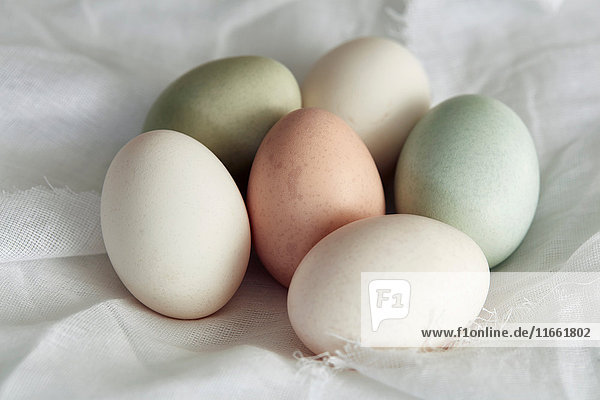 Sechs frische Eier auf weißem Textil