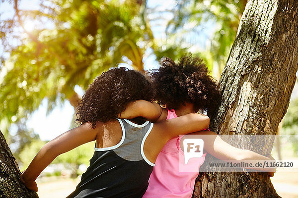 Zwei junge Schwestern spielen auf Baum. Rückansicht