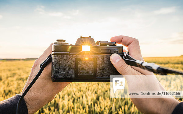 Man standing in field holding SLR camera sunlight shining through viewfinder Neulingen Baden-Württemberg Germany