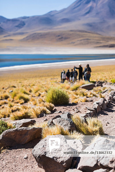People visiting lake miscanti San Pedro de Atacama Chile