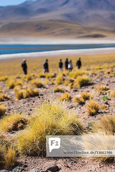 People visiting lake miscanti San Pedro de Atacama Chile