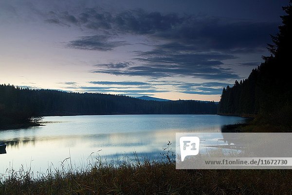 Clear Lake dawn  Willamette National Forest  Oregon.