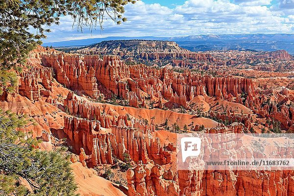 View north from Sunset Point of hoodoo formations below the rim in Bryce Canyon National Park Utah