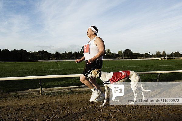 Man in sportswear running on a racetrack  with a white greyhound wearing red bib with number one.