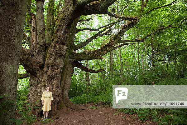 Young woman in forest in front of giant tree