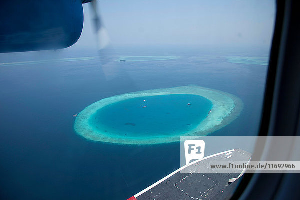 Luftaufnahme eines tropischen Korallenriffs