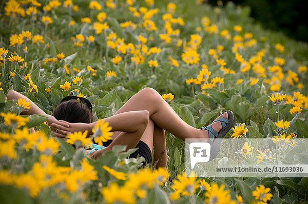 Wanderer entspannen sich im Blumenfeld