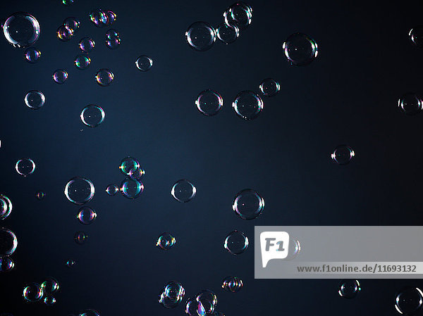 Bubbles floating in air