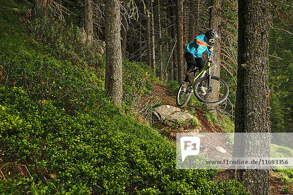 Mountainbiker springt den Waldweg hinunter