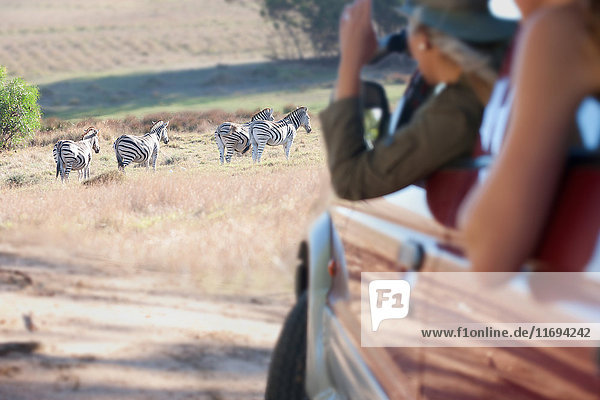 Frauen betrachten Zebras vom Fahrzeug aus  Stellenbosch  Südafrika