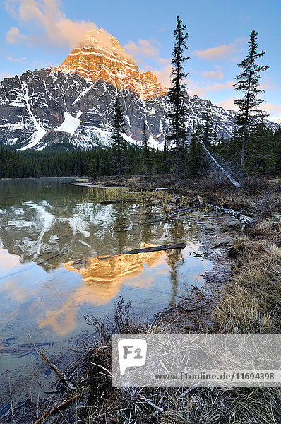 Lower Waterfowl Lake and Mount Chephren  Banff National Park  Alberta  Canada