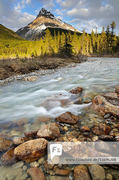 Silverhorn Creek and Mount Weed  Banff National Park  Alberta  Canada