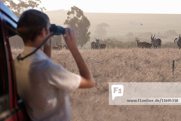 Junger Mann beobachtet Wildtiere durch ein Fernglas  Stellenbosch  Südafrika