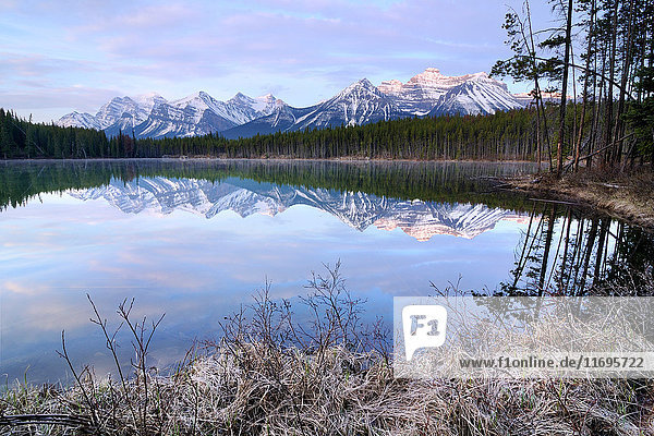 Herbert Lake and Bow Range  Banff National Park  Alberta  Canada