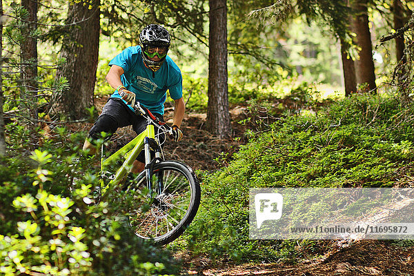 Mountain biker riding off road in forest