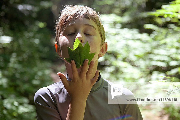 Boy with eyes closed smelling leaf