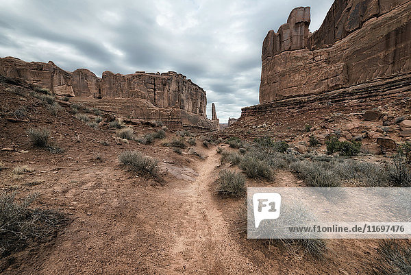 Felsformationen in der Wüste  Moab  Utah  Vereinigte Staaten