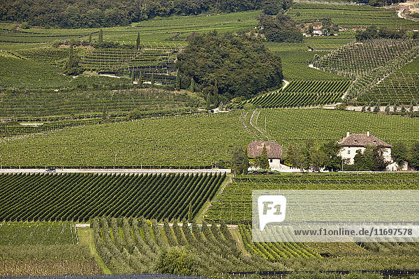 Luftaufnahme des Weinlandes