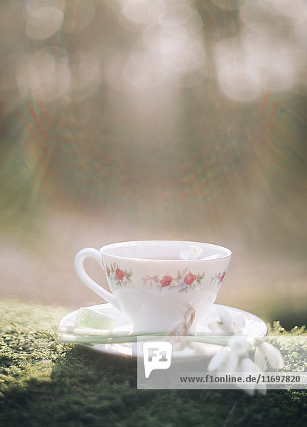 Sonnenschein auf Teetasse und Blume auf Moos