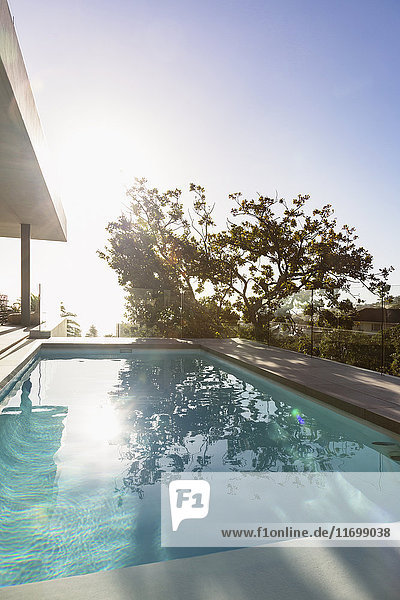 Ruhige  sonnige Spiegelung eines Baumes über dem Schwimmbecken auf einer luxuriösen Terrasse