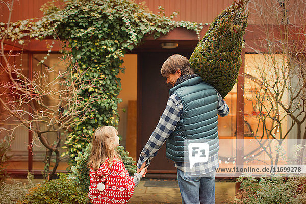 Vater und Tochter tragen Weihnachtsbaum zum Haus
