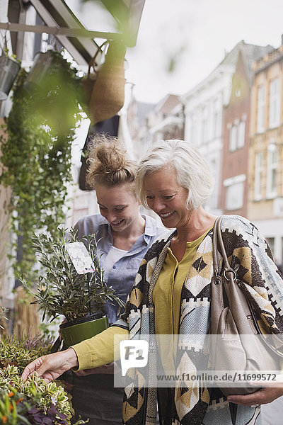 Blumenhändlerin hilft einer Frau beim Einkaufen von Topfpflanzen im Geschäft