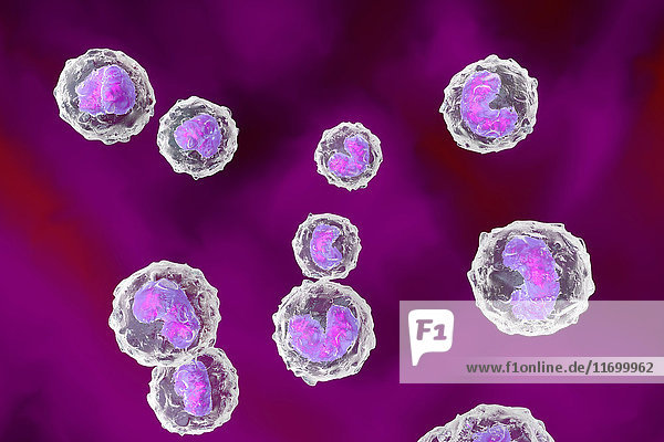 Monozyten-Immunsystem-Abwehrzellen  3D-Rendering