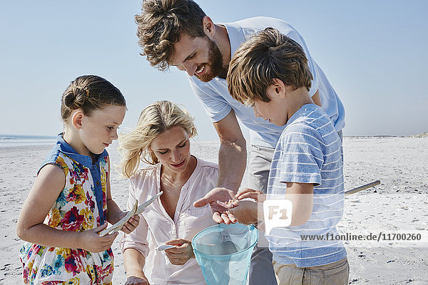Glückliche Familie mit Dip-Netz am Strand