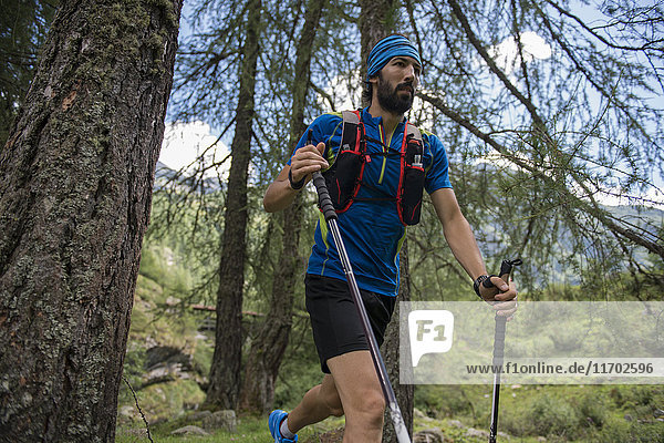 Italy  Alagna  trail runner on the move in forest