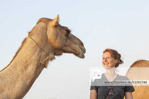 UAE  glückliche Frau  die auf ein Kamel schaut