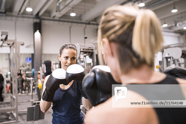 Junge Frauen beim Boxen im Fitnessstudio