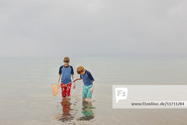 Two boys with dip net in the sea