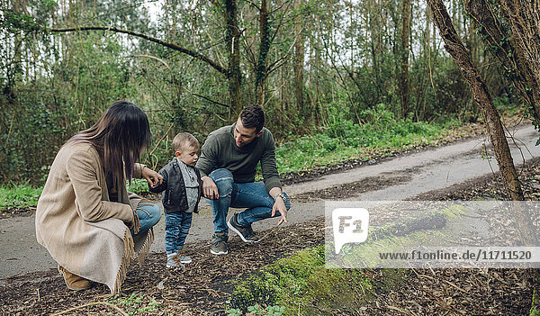 Family with little boy in forest in autumn