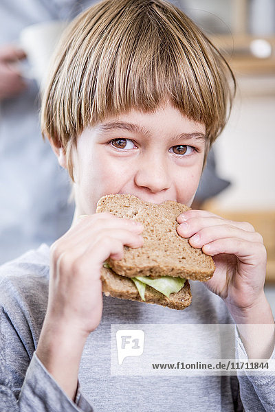 Boy eating a sandwich