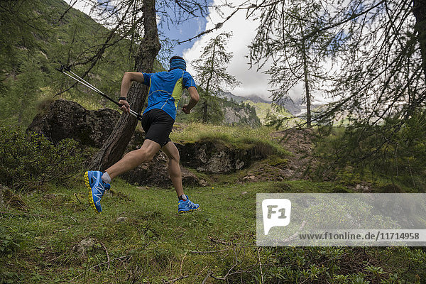 Italy  Alagna  trail runner on the move in forest