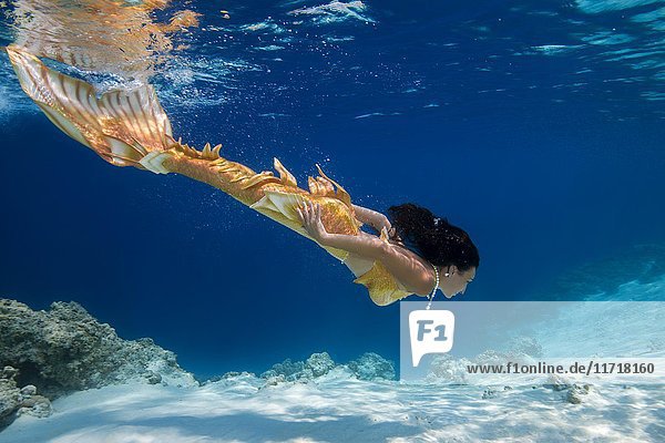 Mermaid swims under water  Indian Ocean  Maldives  Asia
